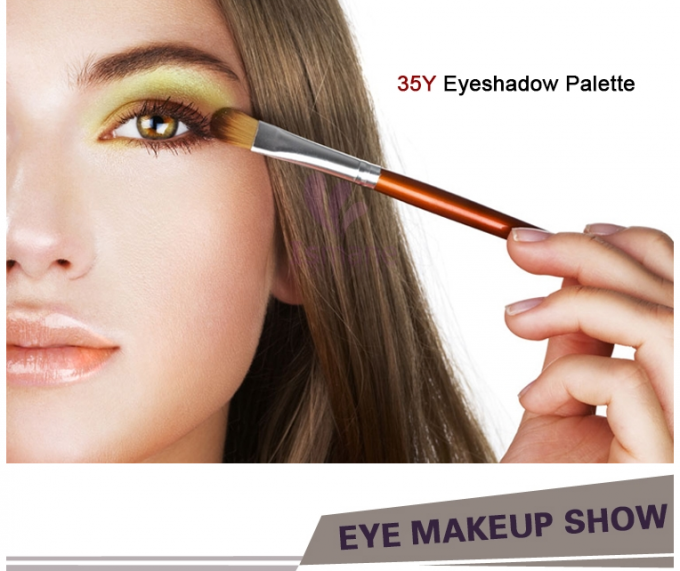 Φωτεινή σκιά ματιών Makeup ματιών για το σκοτεινό ίδρυμα Makeup σκονών δερμάτων ορυκτό