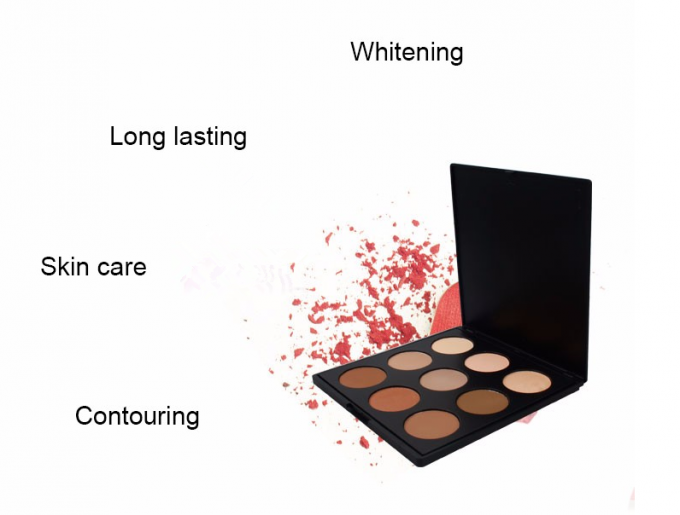 9 χρώμα που διορθώνει πιεσμένο βάρος εξαρτήσεων 250g περιγράμματος σκονών Makeup Concealer το παλέτα