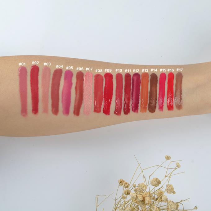 17 προϊόντα χειλικού Makeup χρωμάτων που ενυδατώνουν τη στιλπνή αδιάβροχη MSDS έγκριση Lipgloss