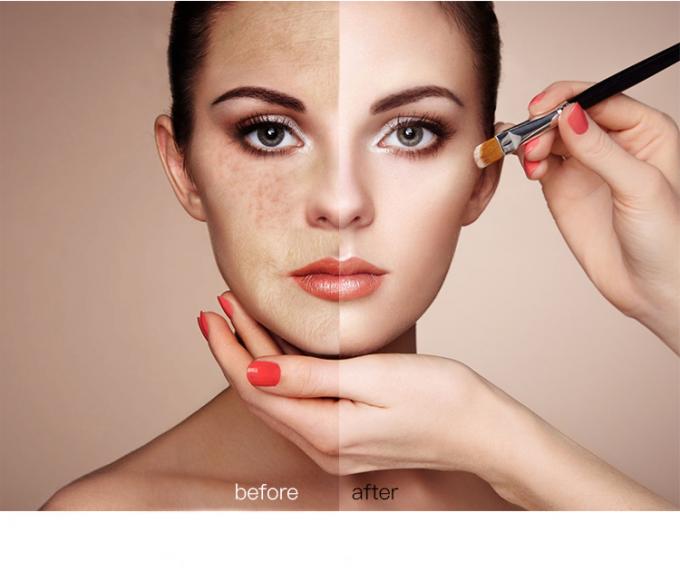 Μακράς διαρκείας χρώμα 10 παλετών Makeup Concealer προσώπου συνήθειας για την καθημερινή χρήση
